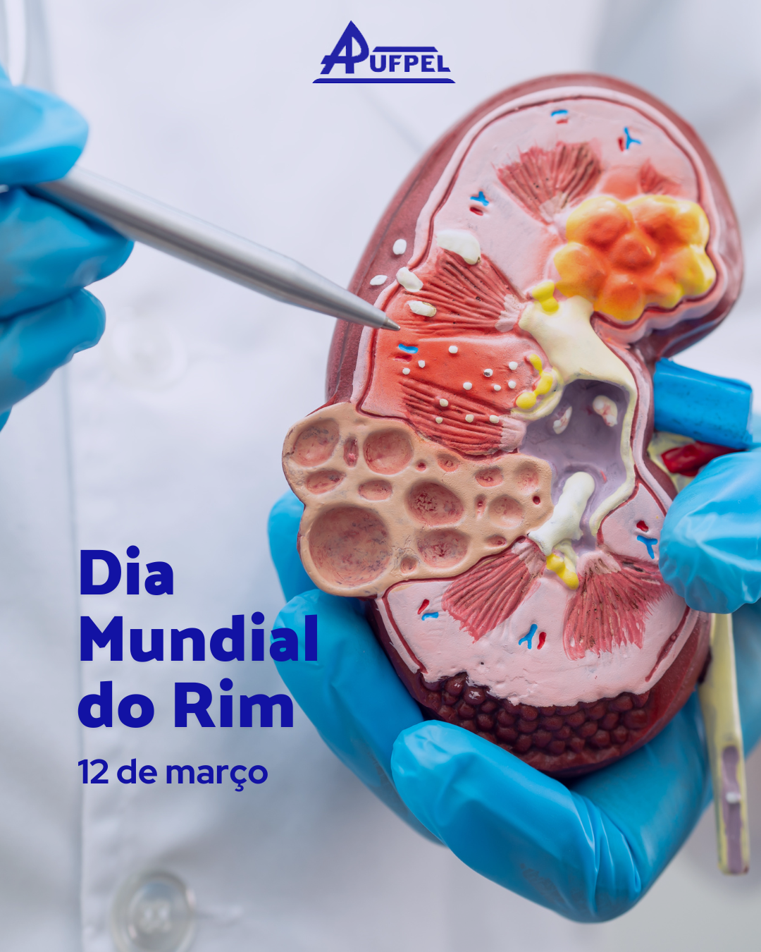 12 de março | Dia Mundial do Rim - APUFPEL