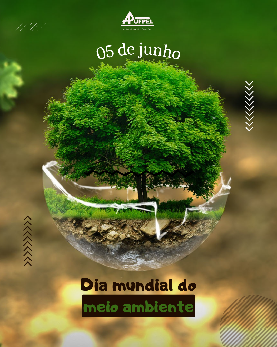 Dia Mundial do Meio Ambiente - APUFPEL
