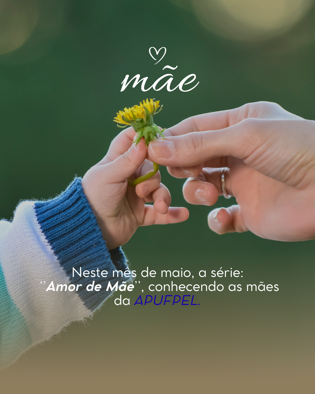 Série “Amor de Mãe” valoriza trajetórias de mães da Apufpel - APUFPEL
